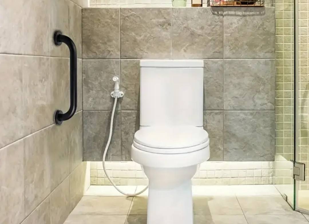 Hand Grip Bar - Royal Sanitary