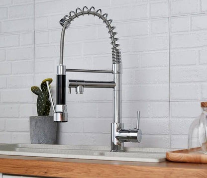 Pullout Kitchen Sink Faucet - Royal Sanitary