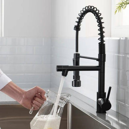 Pullout Kitchen Sink Faucet - Royal Sanitary