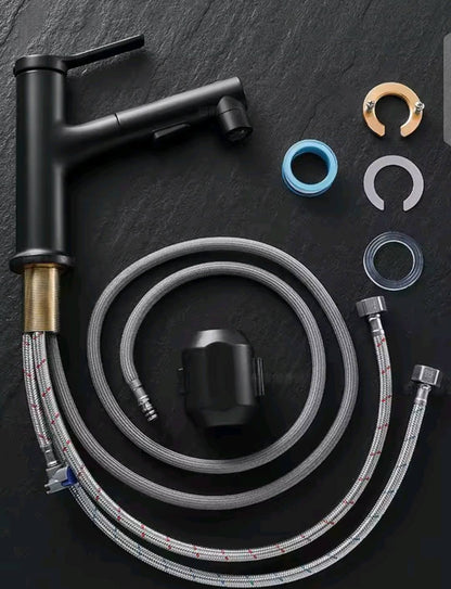 Pullout Saloon Mixture Tap - Royal Sanitary