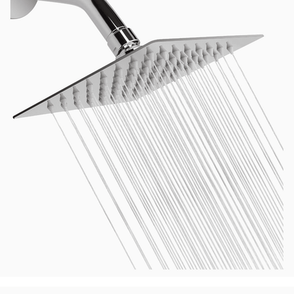 Rain Shower Head - Royal Sanitary