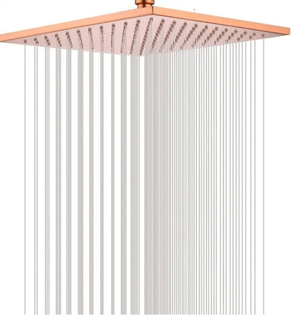 Rain Shower Head - Royal Sanitary